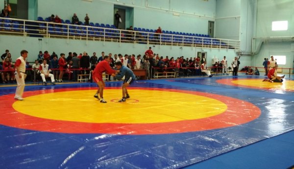 Самбисты сражаются за путевки в Курган