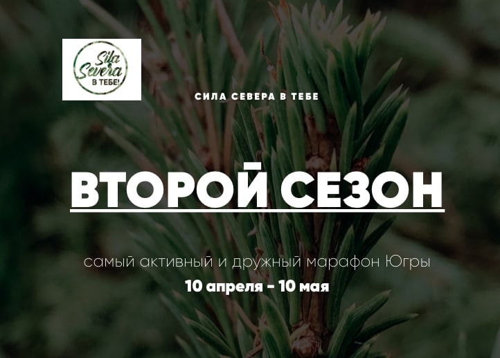 Сила Севера