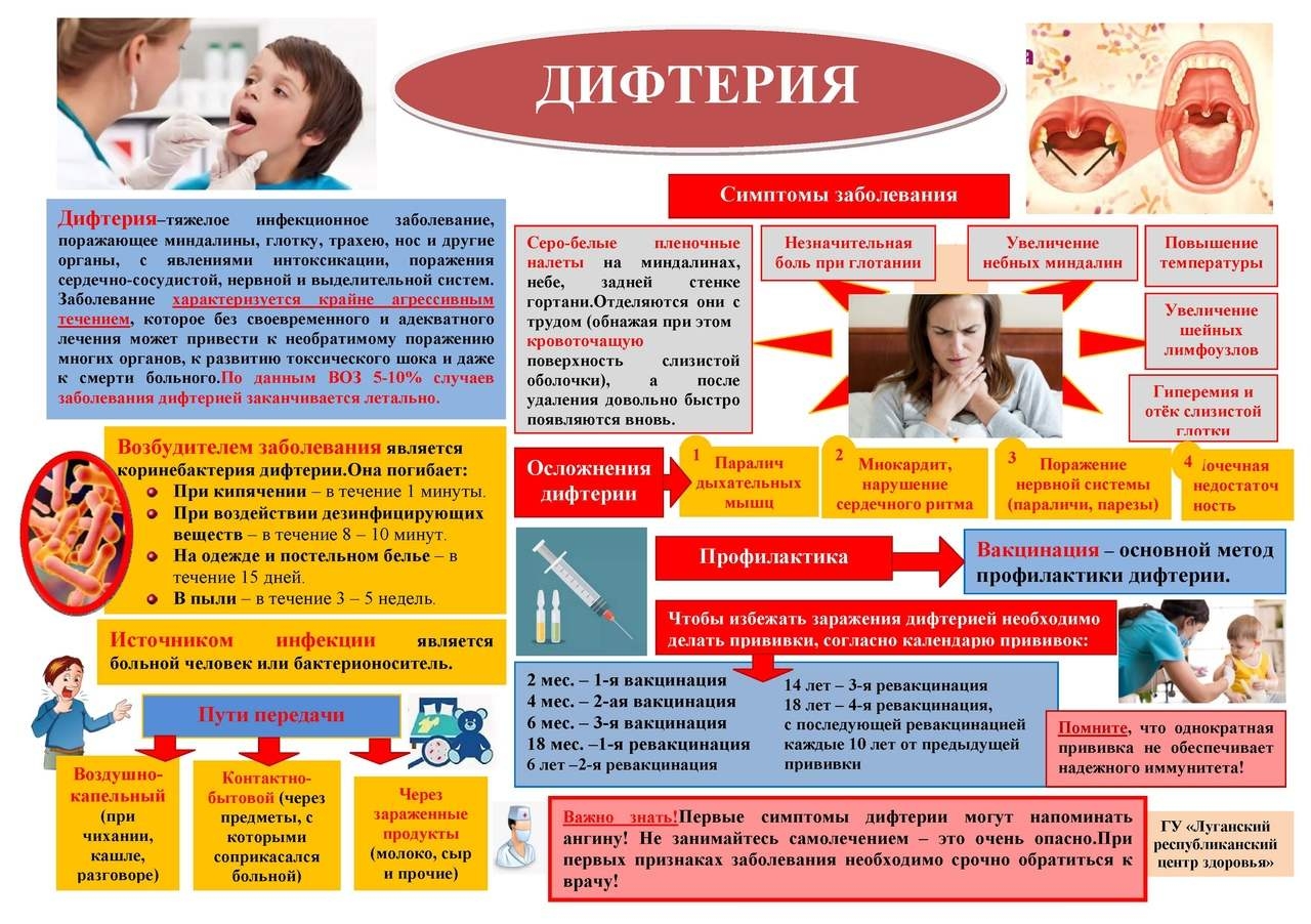 Сезон открыт